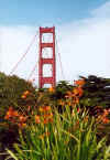 Golden Gate Bridge   © 2000 Marilyn Straka