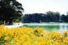 Lake.jpg (24387 bytes)