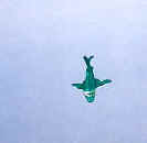 Marina Green Shark Kite     2000 Marilyn Straka