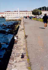 Marina Green Promenade     2000 Marilyn Straka